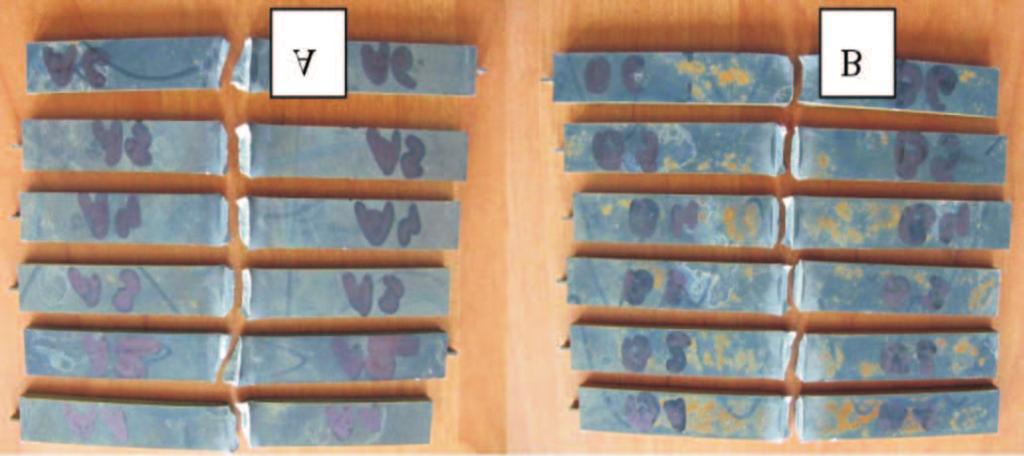 Comparison of the K [J] values of samples cut from 4 mm sheet type (A along the rolling direction, B at an angle of 90 to the rolling direction) in the Charpy impact test Widok próbek po porównawczym