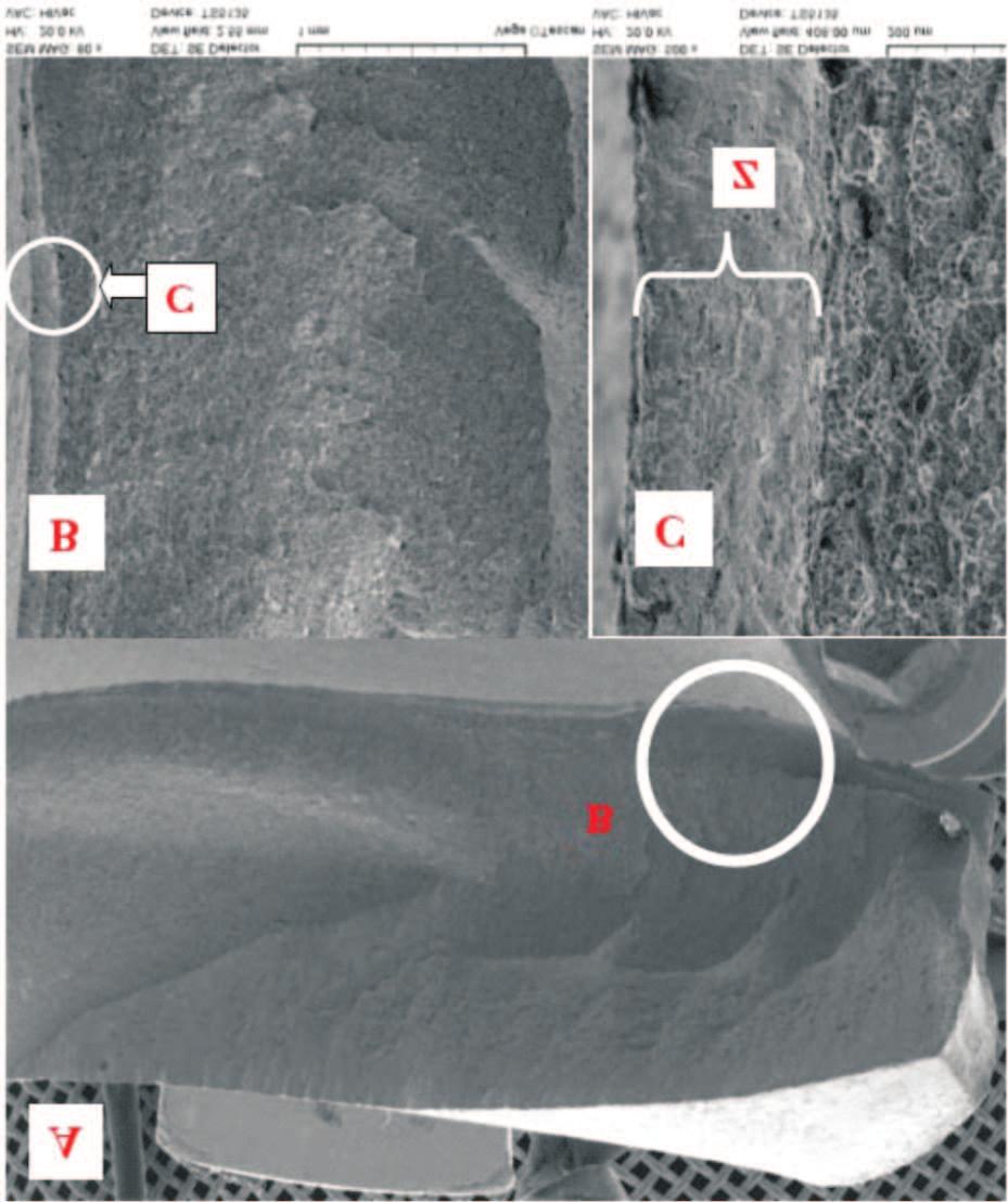View of the fracture of the sample cut along the rolling direction, after the impact test: A view of the whole fracture macro photography, B fracture view at 80x magnification, C fracture view at 500