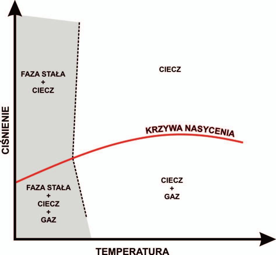 artykuły Jest ona wyższa niż temperatura WAT [17]. Ważnym parametrem wpływającym na depozycję jest szybkość ochładzania się płynu złożowego.