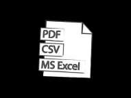 Różne formaty raportów: PDF, CSV, Excel (PDF i Excel tylko