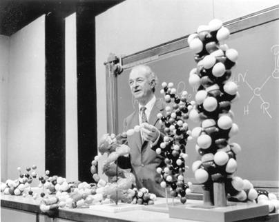 We wczesnych latach 50-tych Linus Pauling zwrócił