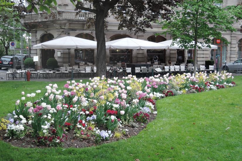 historycznym, Strasbourg (fot. A.