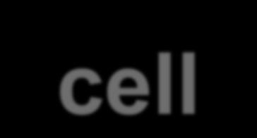 CYTO =