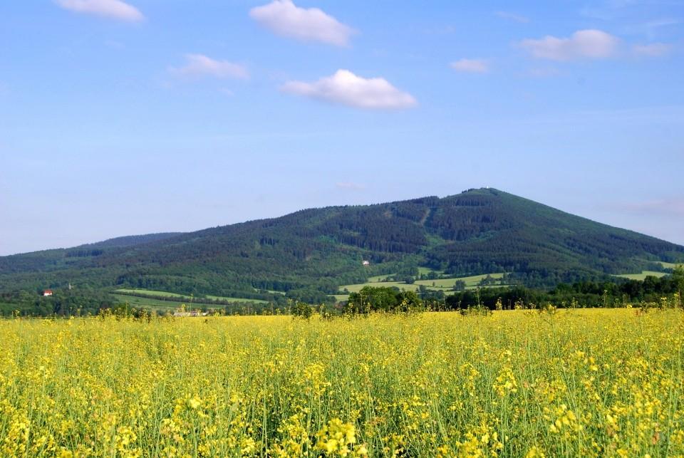 Bądź bezpieczny w czasie wakacji!!! Po dziesięciu miesiącach ciężkiej pracy i stresów nadchodzi tak wyczekiwany przez wszystkich uczniów czas WAKACJE. Będzie to czas zabawy i nowych przeżyć.