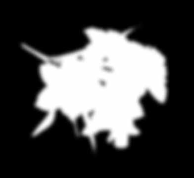 wys. 4,6 cm -