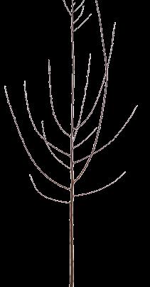 105 cm Stół składany Flower - 99/ stelaż