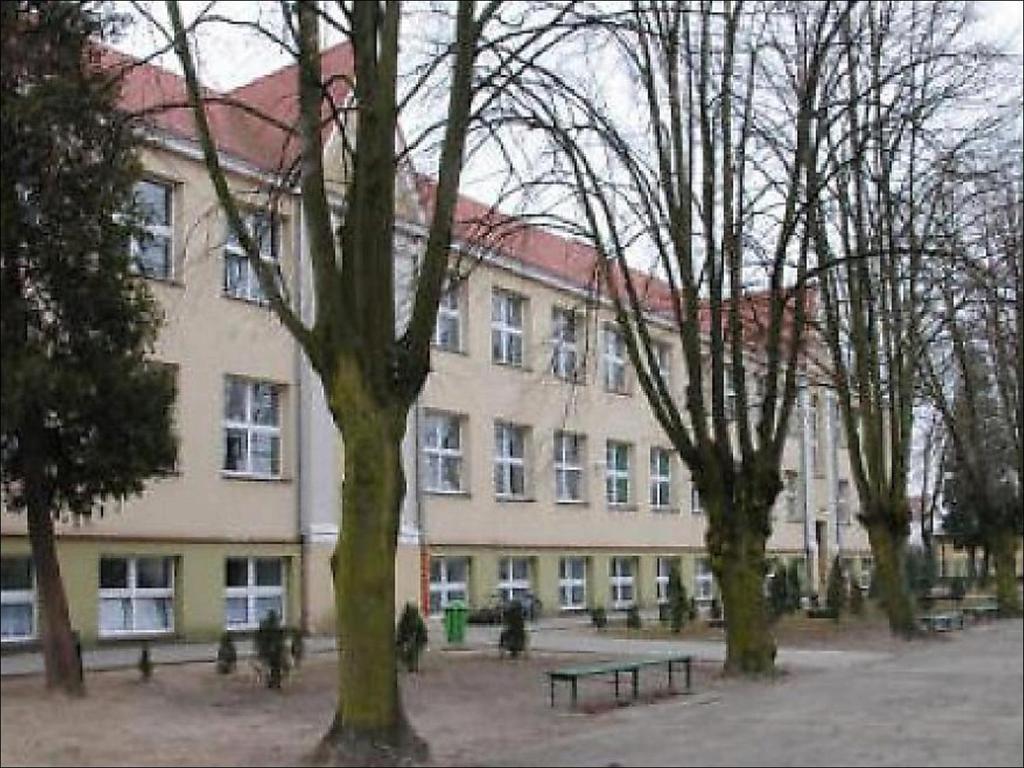 Sprawozdanie z pracy zespołu edukacji wczesnoszkolnej