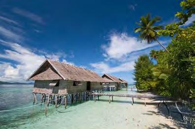 śniadania, obiady i kolacje podczas pobytu na wyspie 10 dni * opiekę polskiego instruktora, transfery * ubezpieczenie TU Europa Travel World, STANDARD, KL 30000 EUR, KR 5000 EUR, NNW 3000 EUR, BP 300