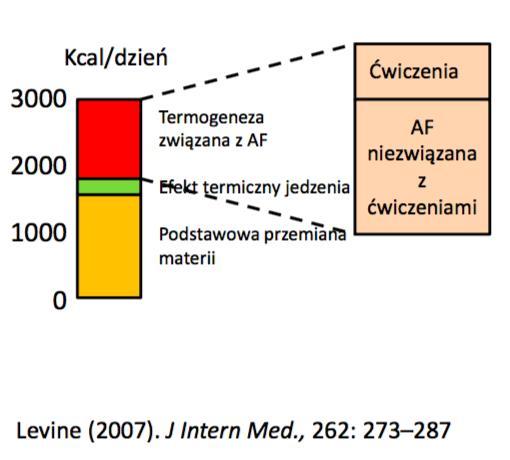 NEAT (Non-exercise activity thermogenesis) W PROFILAKTYCE OTYŁOŚCI NEAT