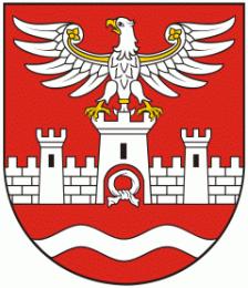 ZLECENIODAWCA: Zarząd Powiatu Nowodworskiego 05-100 Nowy Dwór