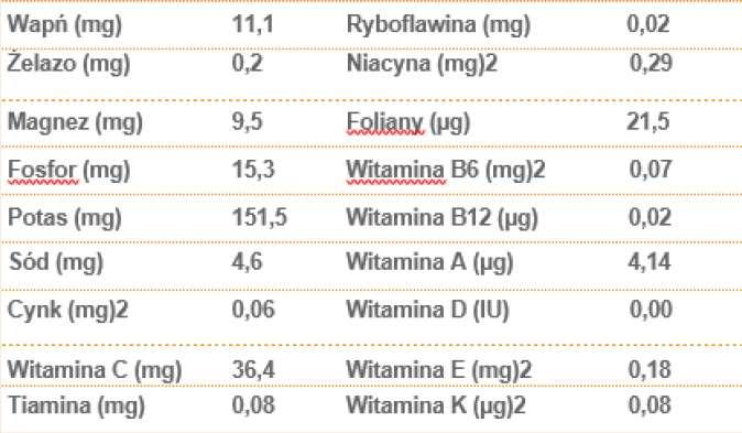 Witaminy i składniki mineralne w