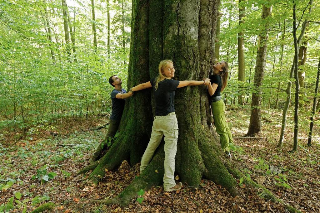 Przyrodnicze Fundacja Dziedzictwo Przyrodnicze Leszczawa