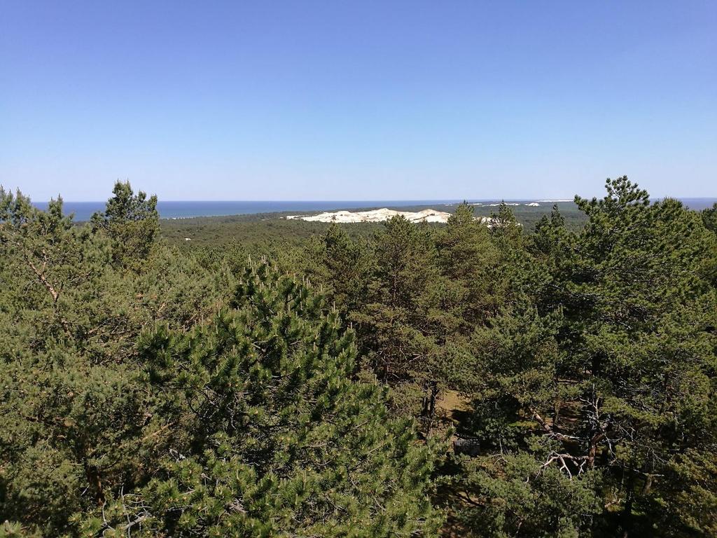 Fot. 16: Widok z Latarni Morskiej Czołpino na wschód na Mierzeję Łebską. Pośród nadmorskiego lasu widoczna jest Wydma Czołpińska.
