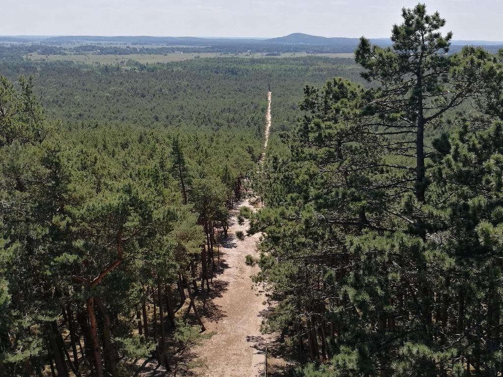 Fot. 18: Widok z Latarni Morskiej Czołpino na południe.