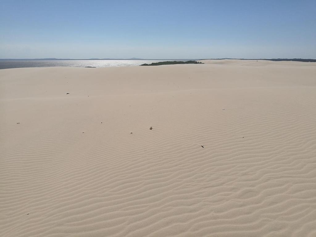 km/h) zaczyna się ruch wydmy. Ziarenka piasku toczone przez wiatr wędrują na wschód, a gdy dojdą do stoku zawietrznego, gwałtownie osypują się w dół.