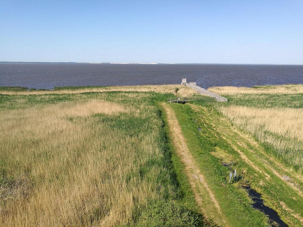 Fot. 35: Łebsko trzecie co do wielkości jezioro w Polsce. Jego powierzchnia to obecnie 71,4 km 2. Jezioro stale się zmniejsza poprzez wypłycanie i zarastanie jego brzegów przez roślinność.