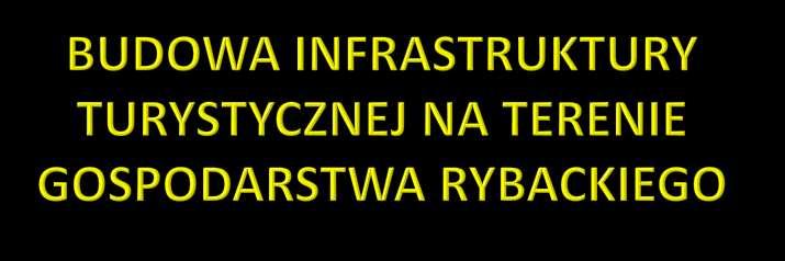 Kwota dofinansowania: 495 538,88 zł Zakres operacji: - zakup pomostów, - zakup placu
