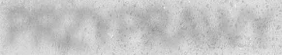 -BOROWIKOWY 1 KG 47113741 SOS