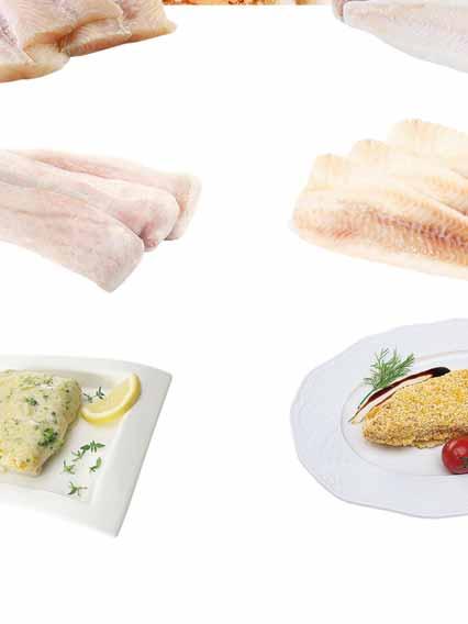 MINTAJ FILET BEZ SKÓRY SHP 13 KG