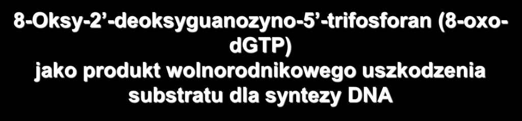 8-ksy-2 -deoksyguanozyno-5