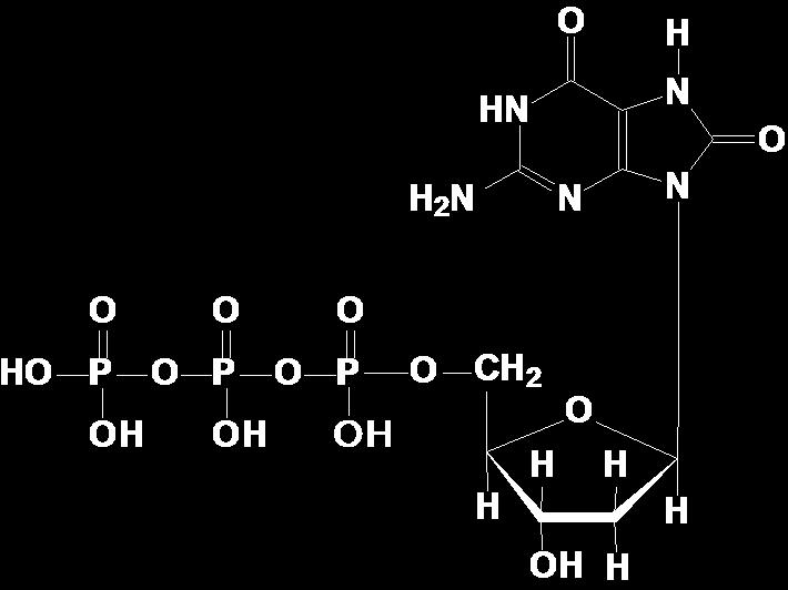 2 -deoksyguanozyno-5 -trifosforan dgtp