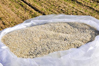 Azotany Produkt utleniania azotu organicznego przez bakterie obecne w glebie i wodzie w obecności tlenu.