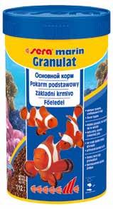 Czerwiec Amblyeleotris