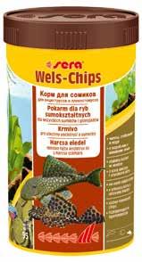 Sierpień Baryancistrus