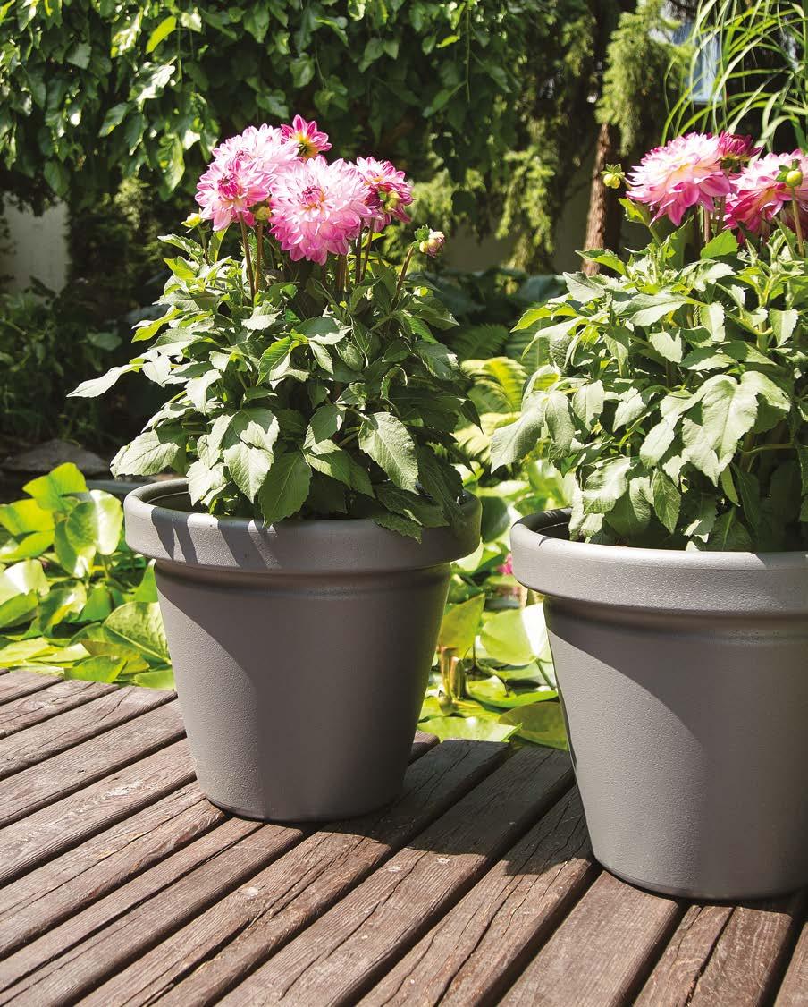 AGAWA Donica / Flower pot / Blumentopf / Pot de fleurs / Кашпо 60 390 340 4 61 460 400 4 62 0 480 4 31 74 82 83 PODSTAWKA Saucer / Untersetzer / Soucoupe / Подставка 60 420 61 62 48 49» 88 31 74 82