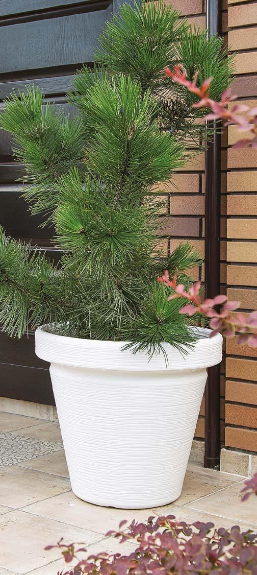 744 74 48 49» 88 31 74 82 83 odporna na mróz frost resistant oryginalny wzór powierzchni