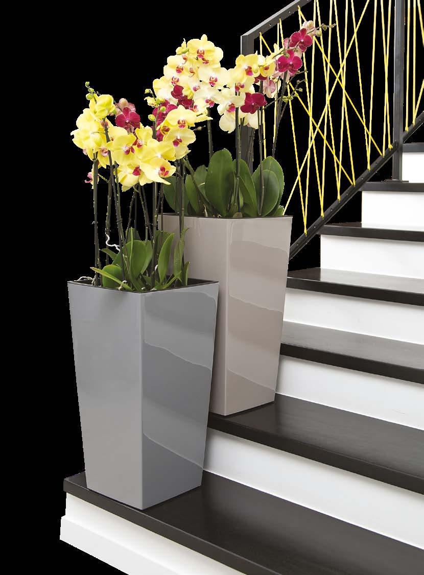 Domowy ogród House of plants FINEZJA Donica / Flower pot / Blumentopf / Pot de fleurs / Кашпо 31 140 260 32 190 360 33 20 46 * * * * 01 04 0 27 44 6 74 82 83 39 80 81 84 47 41