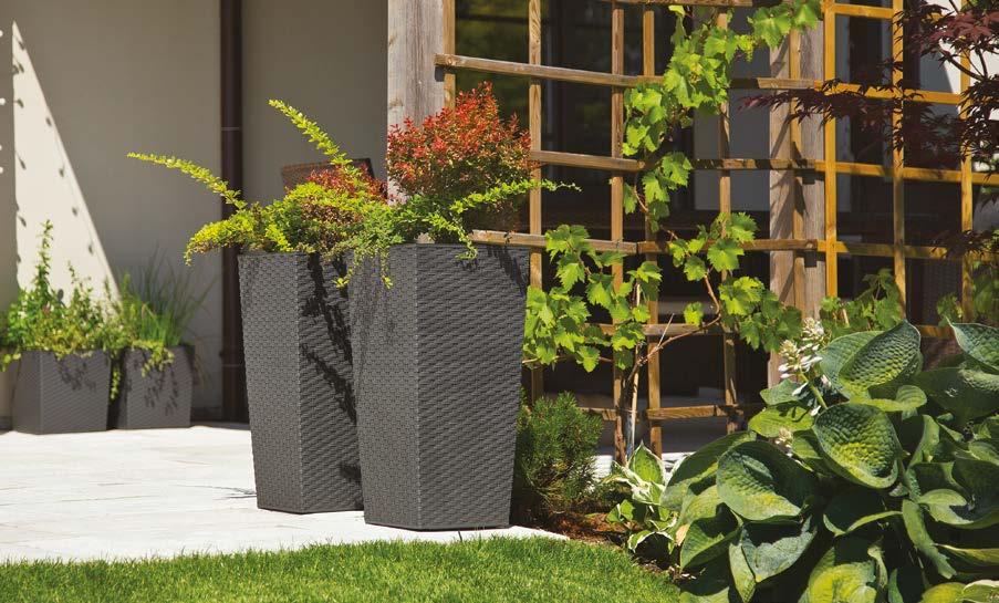 FINEZJA RATTAN Donica / Flower pot / Blumentopf / Pot de fleurs / Кашпо 72 190 360 73 20 46 74 300 70 76 30
