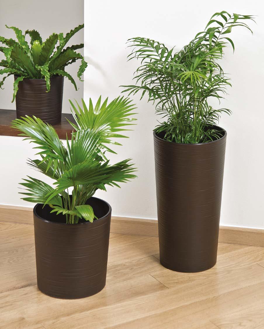 wkład planter and easy insert jakość premium premium quality łagodny, okrągły kształt soft round shape design oryginalny wzór powierzchni
