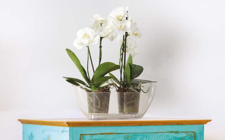 LUNA Osłonka do storczyków / Flower pot for orchids / Orchideenübertopf / Pot pour orchidées / Bазон для