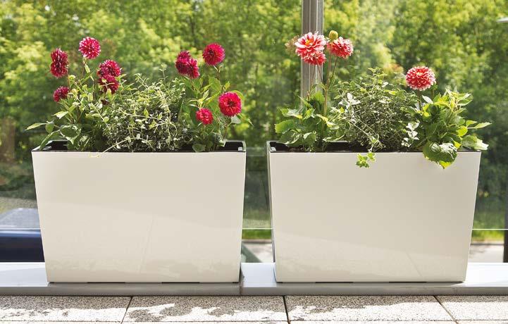WERBENA Kwietnik / Flower box / Blumenkasten / Jardinière / Цветник WERBENA DŁUTO Kwietnik / Flower box / Blumenkasten / Jardinière / Цветник 64 190 x 60 36 04 0 27 6 74 83