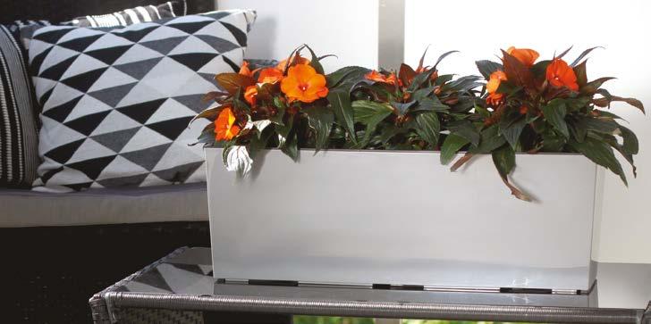 BEGONIA Kwietnik / Flower box / Blumenkasten / Jardinière / Цветник BEGONIA DŁUTO Kwietnik / Flower box / Blumenkasten / Jardinière / Цветник 6 190 x 60 19 627 190 x 60 19 * 04 0 27 6 74 83 84 04 0 0