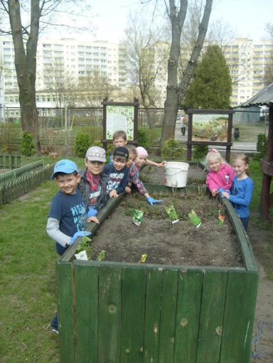 Ogród w przedszkolu nr 21 w Elblągu założony w ramach wspólnego projektu Carrefour Polska, Międzynarodowej Fundacji Carrefour i Fundacji