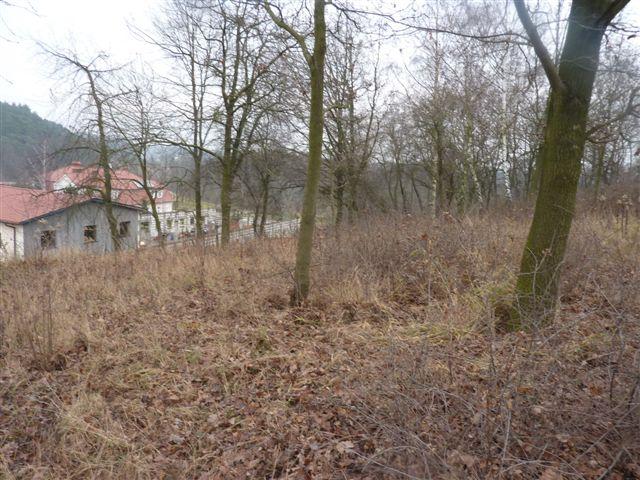 ogólny