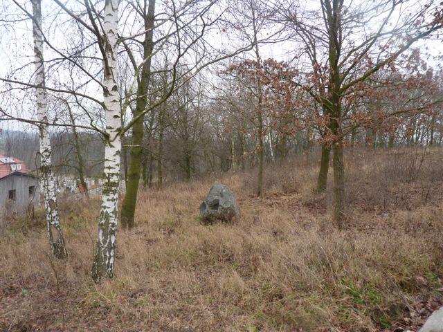 Działka nieuzbrojona, niezagospodarowana, niegrodzona.
