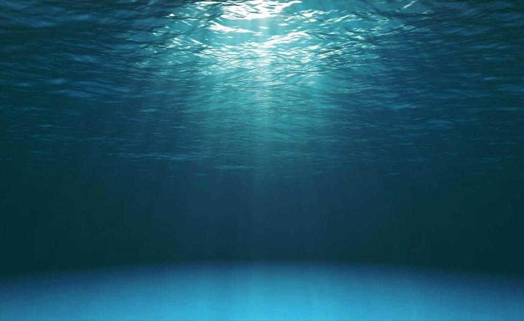 Cichocki Ocean Team