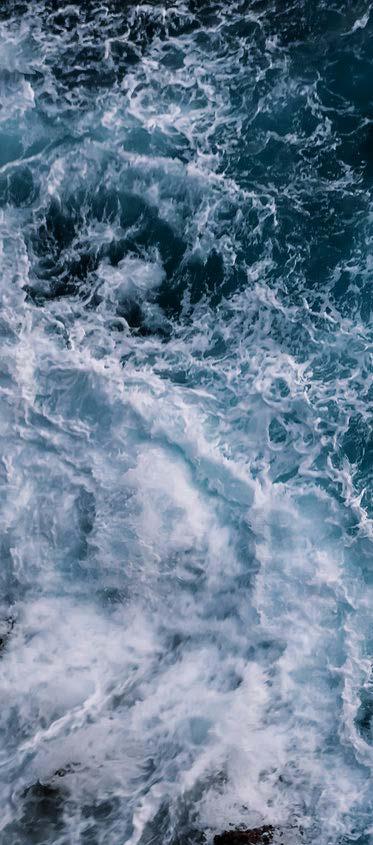 Cichocki Ocean Team Firma Cichocki Ocean Team została założona przez kapitana Tomasza Cichockiego, a do jej głównych zadań należy przygotowywanie rejsów i startów