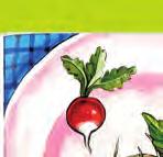 zintegrowana, kolorowe ilustracje KOD: 791503