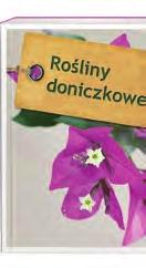 OZDABIANIE STOŁÓW Sztuka ozdabiania stołów na święta i uroczystości rodzinne, m.