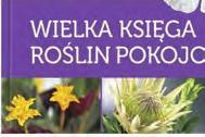 Wspaniale ilustrowany poradnik o najpopularniejszych roślinach pokojowych