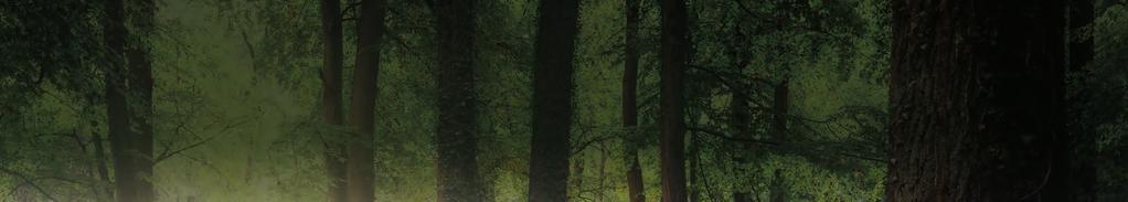 BESTSELLER 36,90 TRISTAN GOOLEY PRZEWODNIK