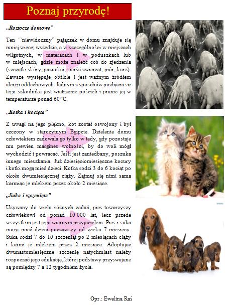 KUPON Hasło:.
