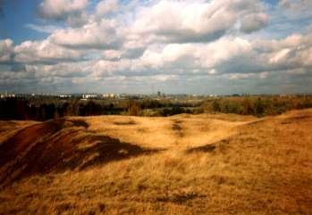 wyniku działań