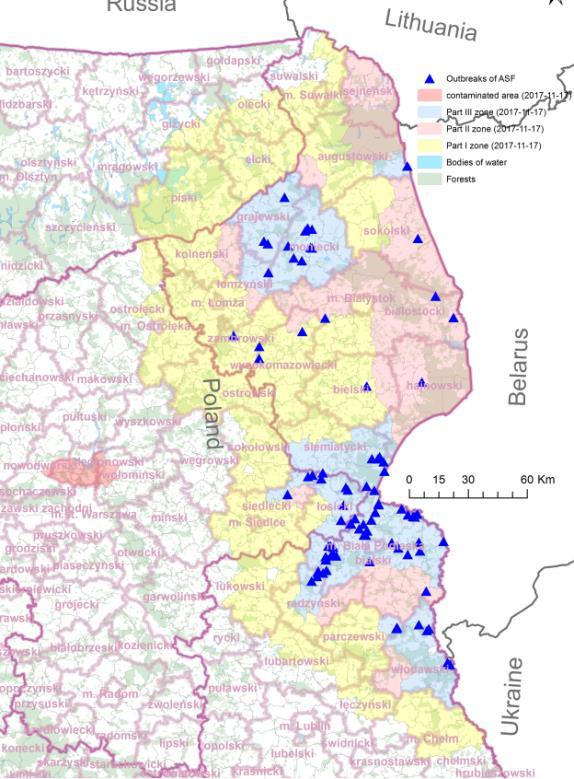 Nowe ognisko jesienią 2017 26.11.