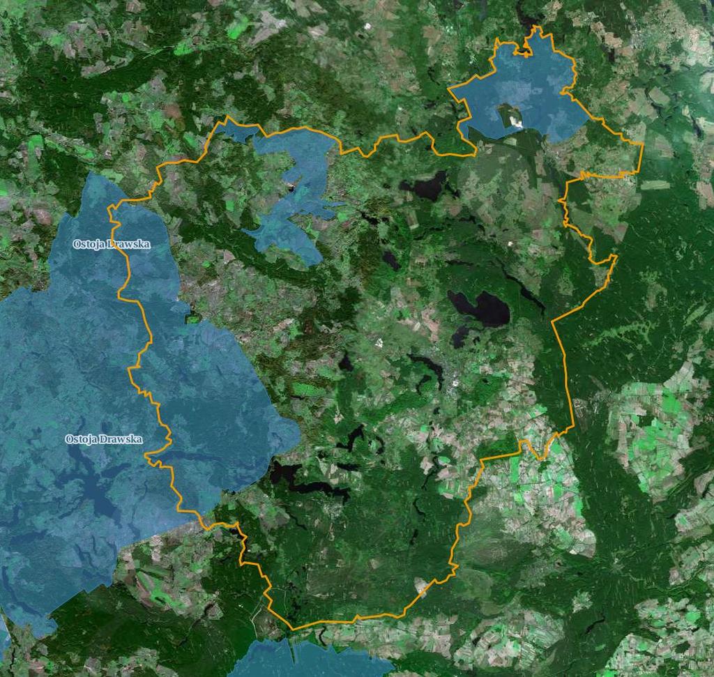 Rysunek 18. Obszary ptasie Natura 2000 na tle Powiatu Szczecineckiego. Źródło: www.geoserwis.gdos.gov.