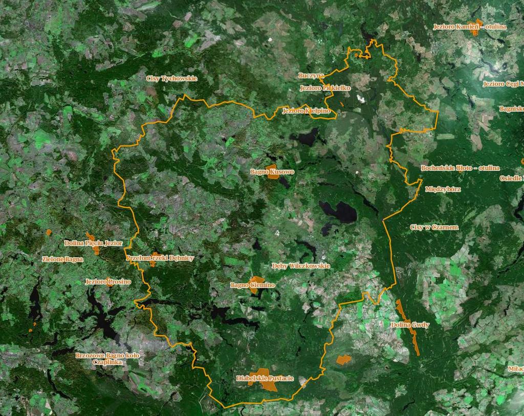 Rysunek 20. Rezerwaty na tle Powiatu Szczecineckiego. Źródło: www.geoserwis.gdos.gov.
